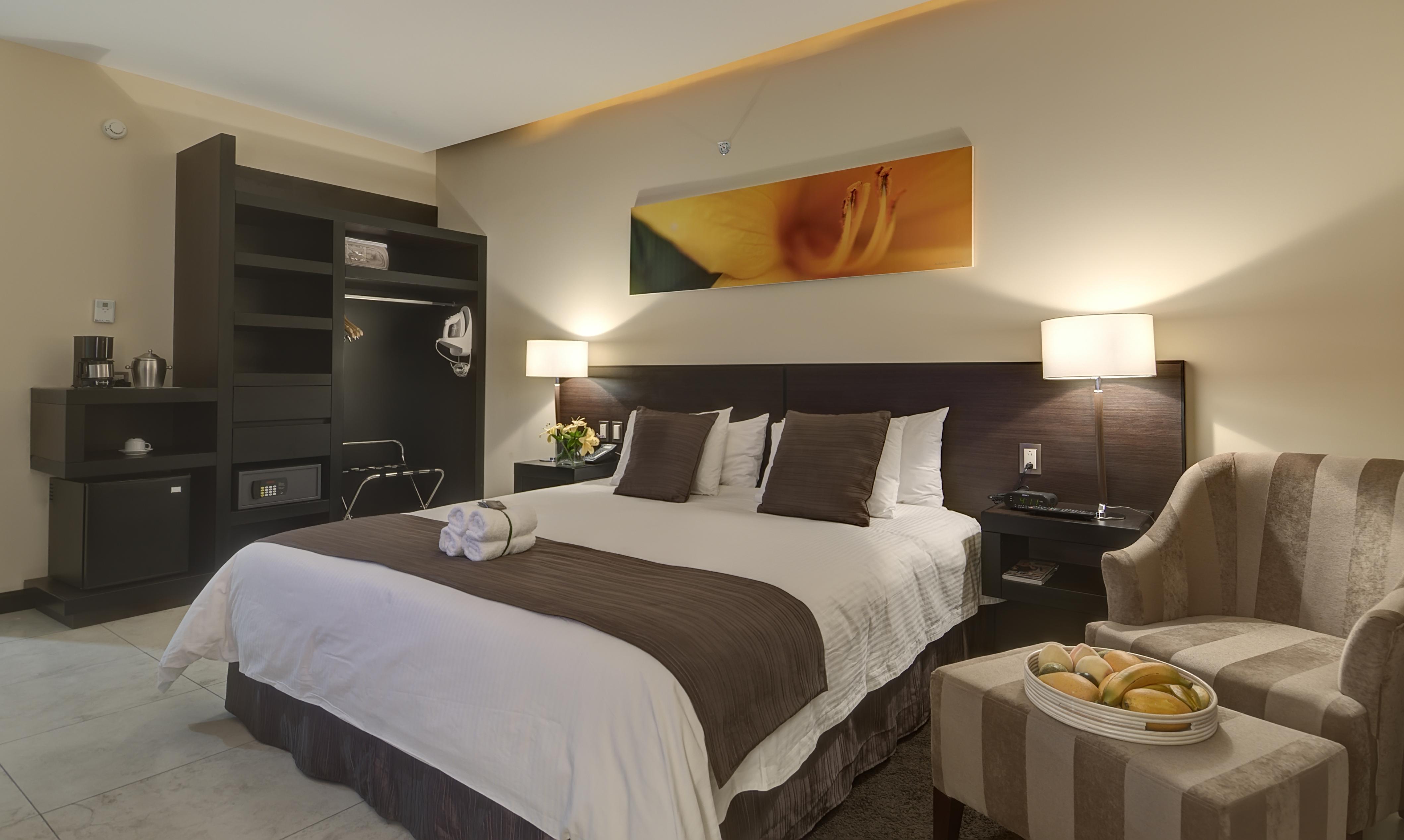 Studio Hotel Boutique San Jose  Eksteriør bilde A room at the hotel
